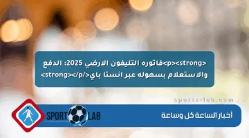 <p><strong>فاتورة التليفون الأرضي 2025: الدفع والاستعلام بسهولة عبر إنستا باي</strong></p>